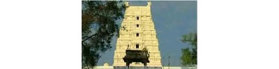 58. திருநின்றவூர்